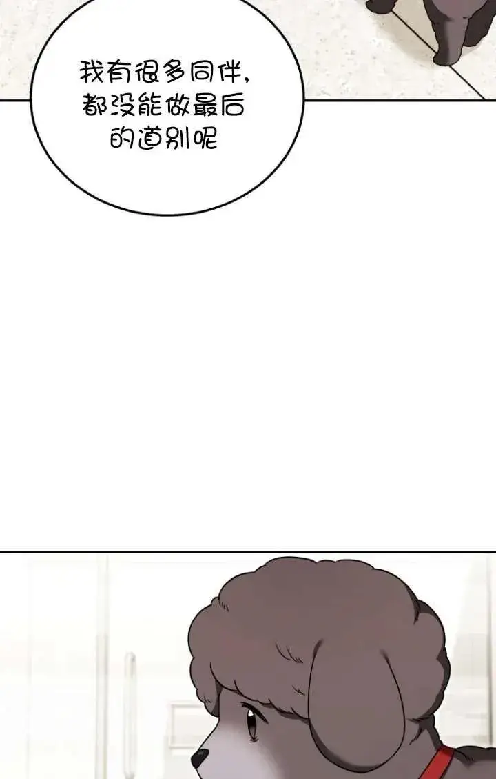 漫画《兽医先生！你好？》第35话第43张图