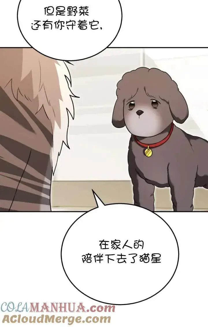 漫画《兽医先生！你好？》第35话第53张图