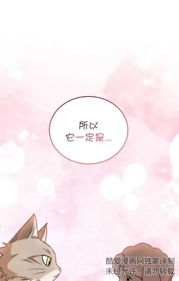 漫画《兽医先生！你好？》第35话第54张图