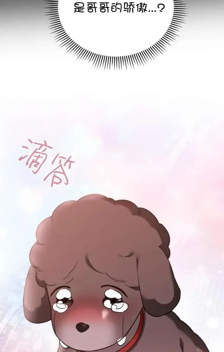 漫画《兽医先生！你好？》第35话第59张图