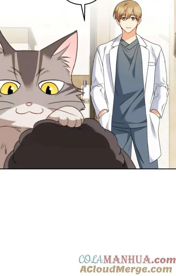 漫画《兽医先生！你好？》第35话第61张图