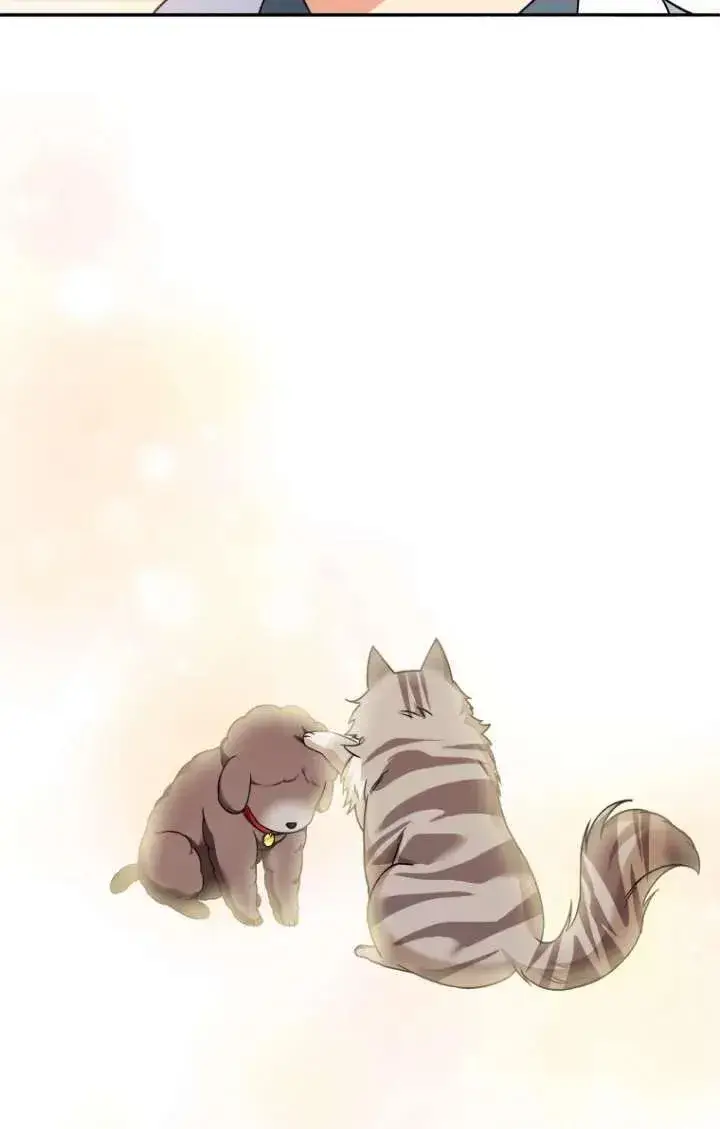 漫画《兽医先生！你好？》第35话第63张图