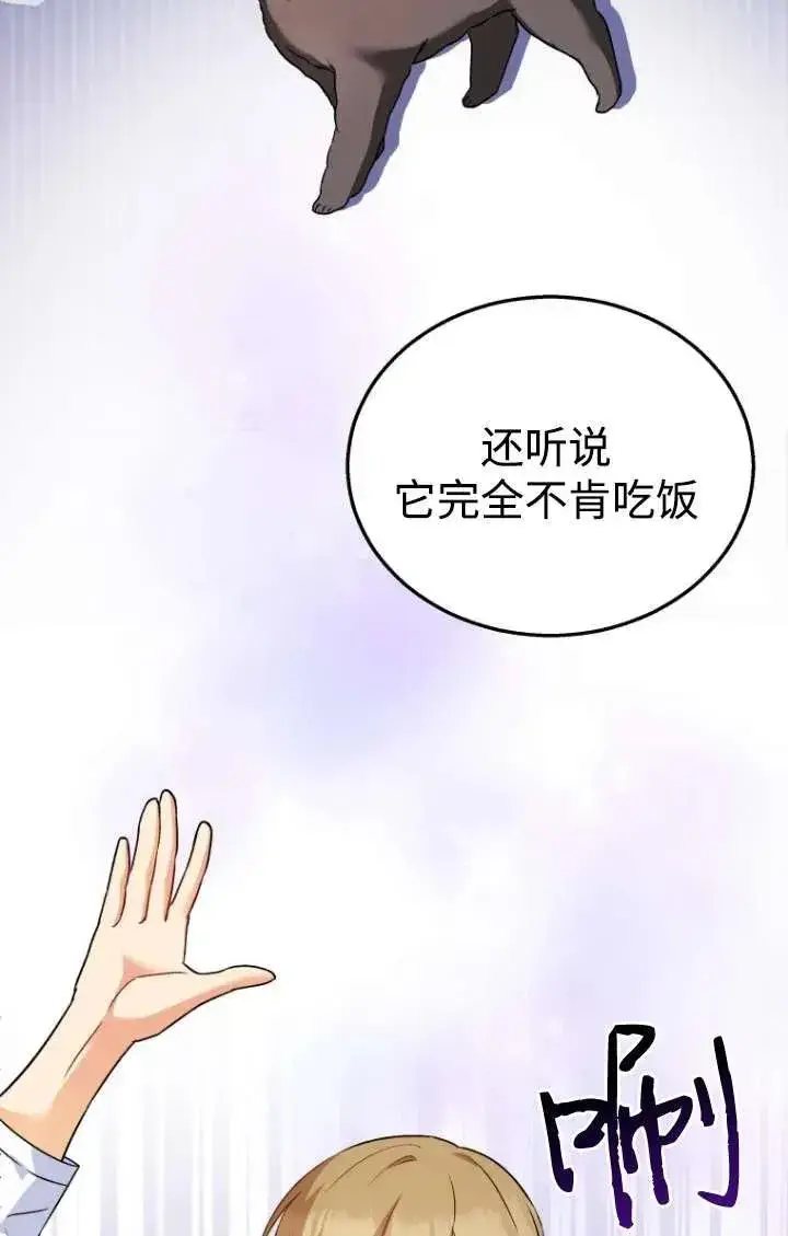 漫画《兽医先生！你好？》第35话第8张图