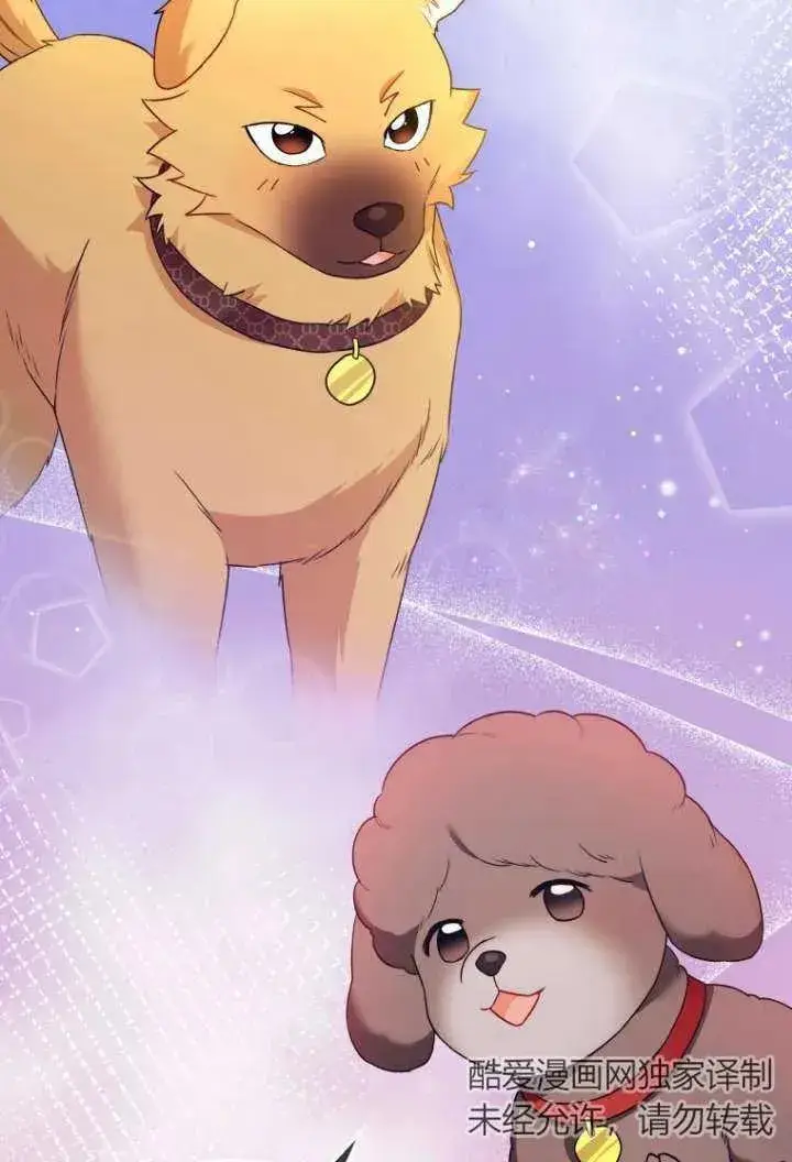 漫画《兽医先生！你好？》第36话第2张图