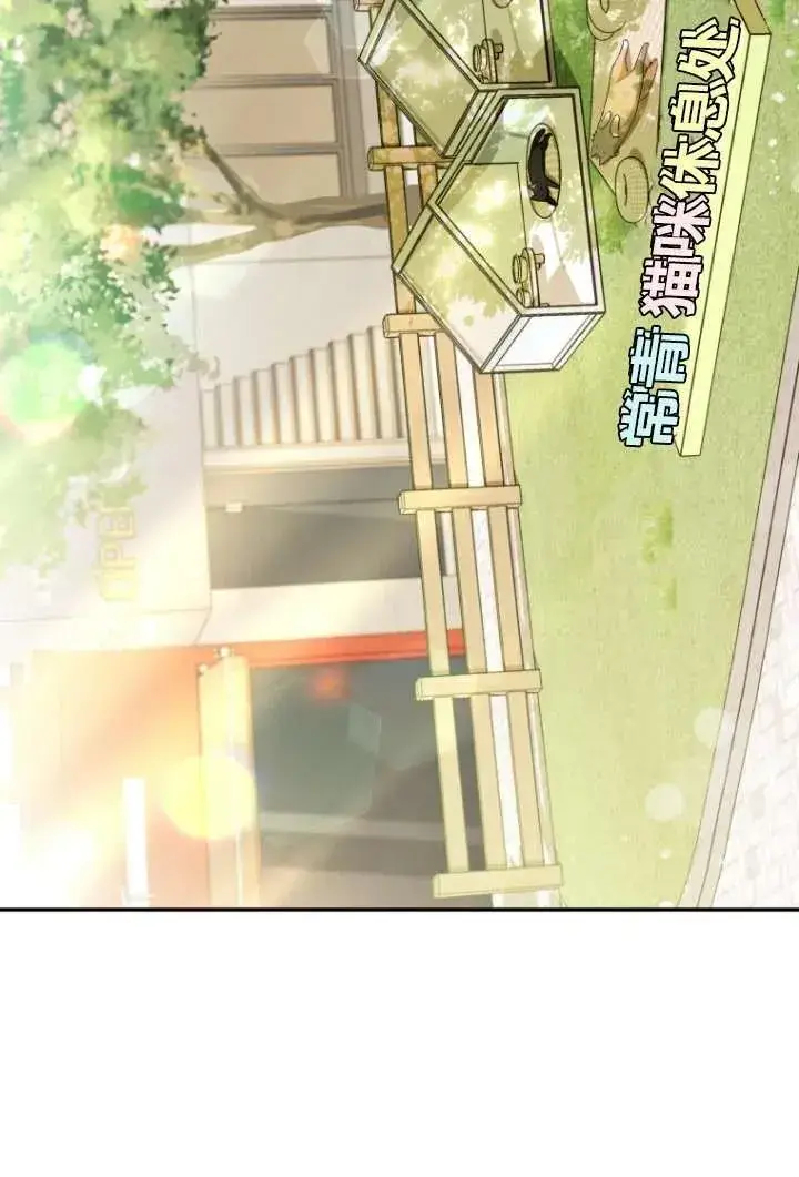 漫画《兽医先生！你好？》第37话第32张图