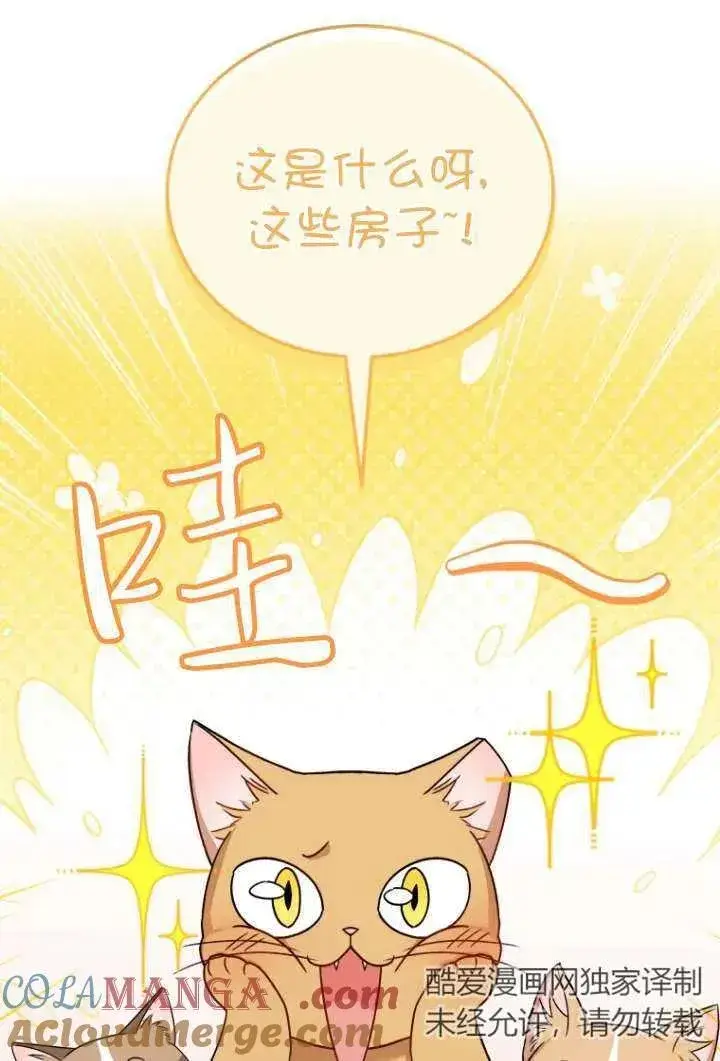 漫画《兽医先生！你好？》第37话第43张图
