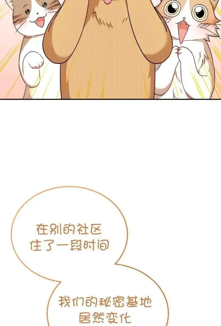 漫画《兽医先生！你好？》第37话第44张图