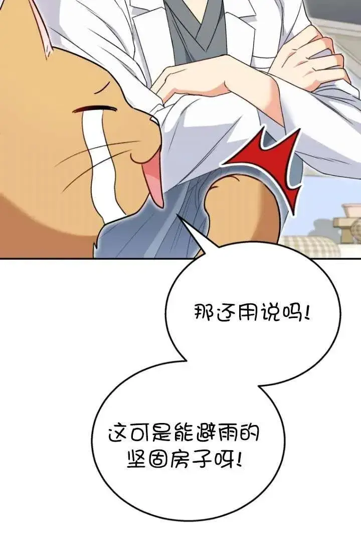 漫画《兽医先生！你好？》第37话第47张图