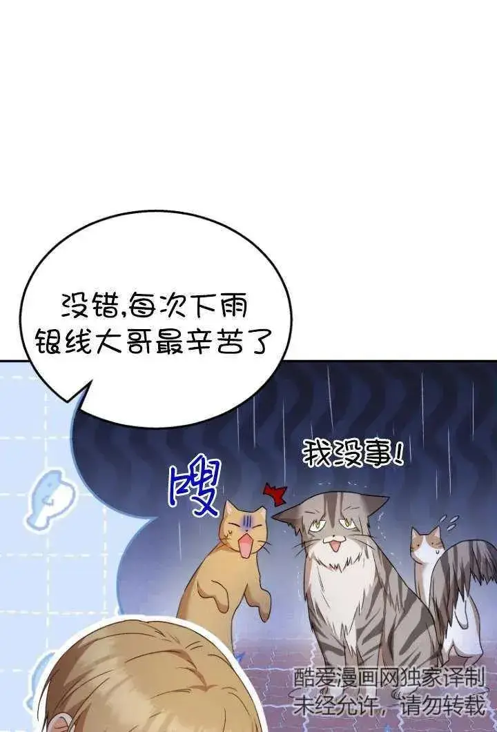 漫画《兽医先生！你好？》第37话第48张图