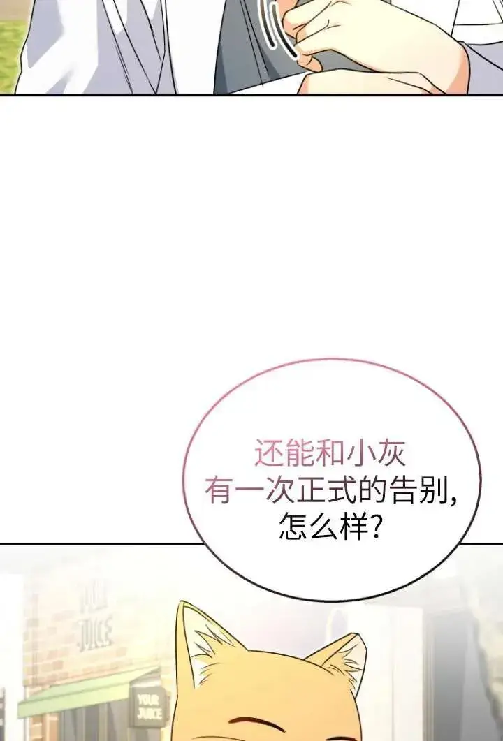 漫画《兽医先生！你好？》第37话第65张图