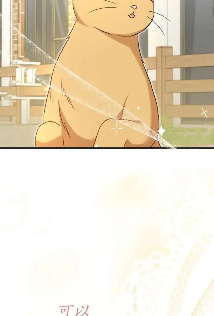 漫画《兽医先生！你好？》第37话第66张图