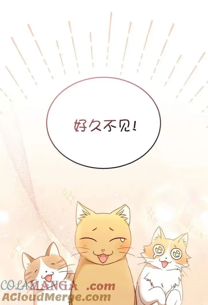 漫画《兽医先生！你好？》第38话第13张图