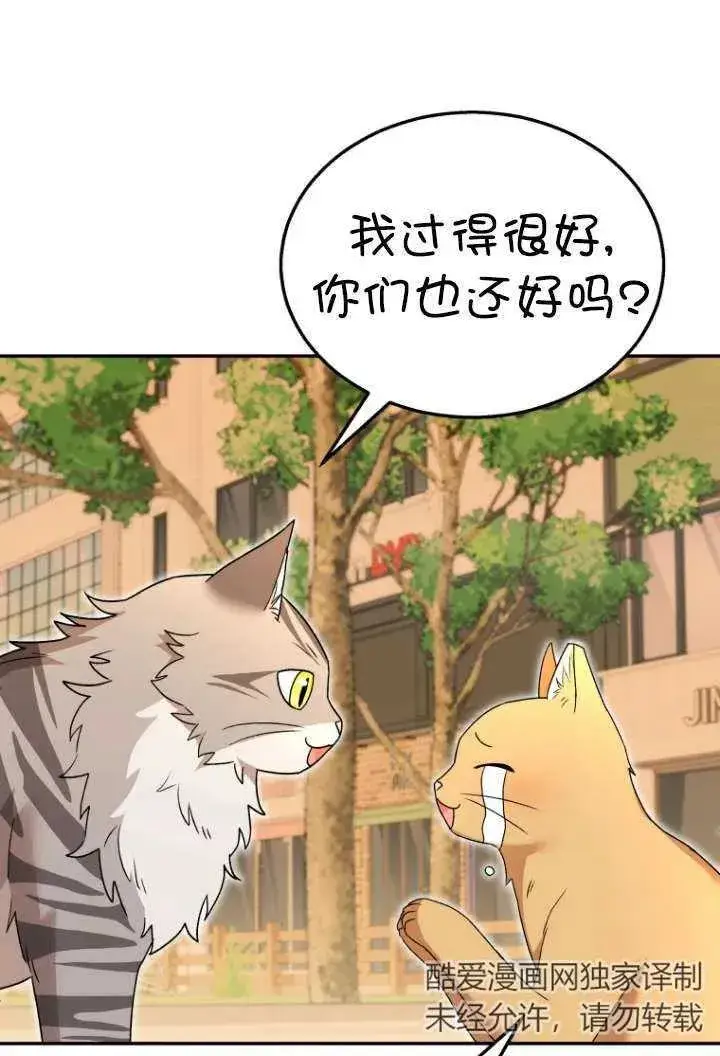 漫画《兽医先生！你好？》第38话第15张图