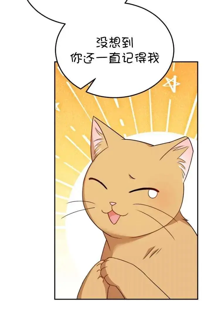 漫画《兽医先生！你好？》第38话第18张图