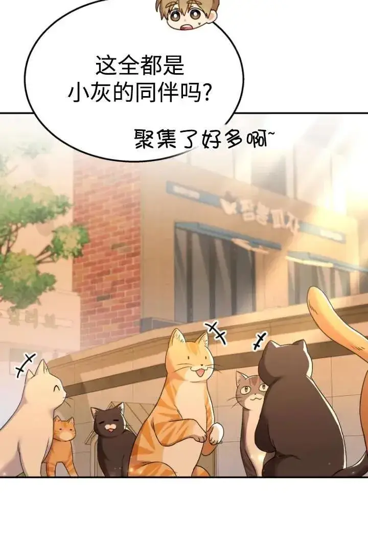 漫画《兽医先生！你好？》第38话第28张图
