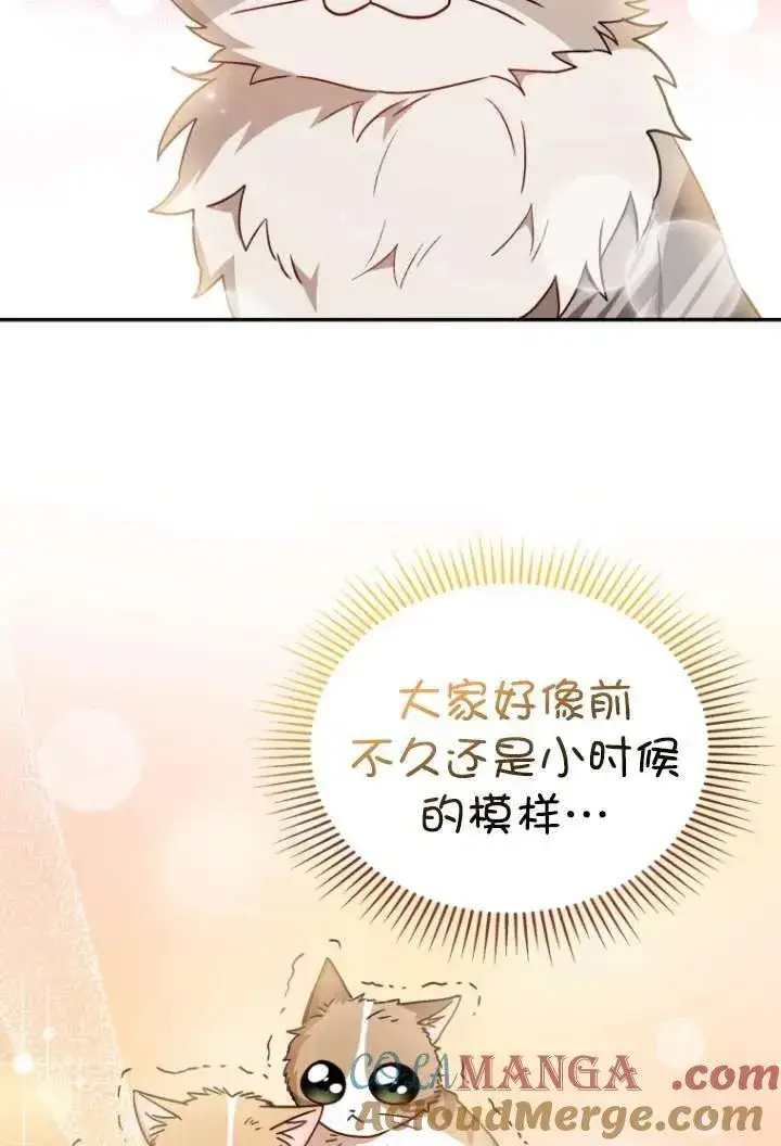漫画《兽医先生！你好？》第38话第57张图