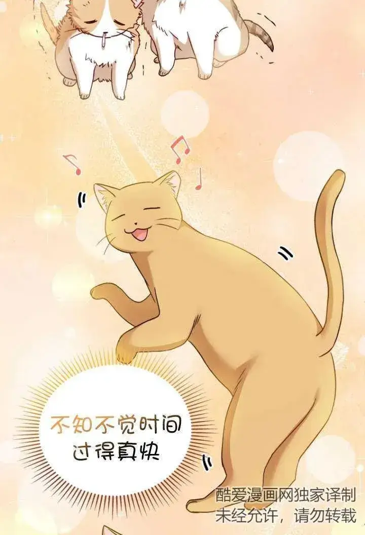 漫画《兽医先生！你好？》第38话第58张图