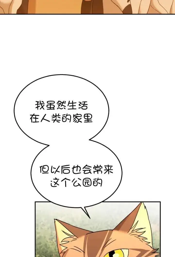 漫画《兽医先生！你好？》第38话第62张图