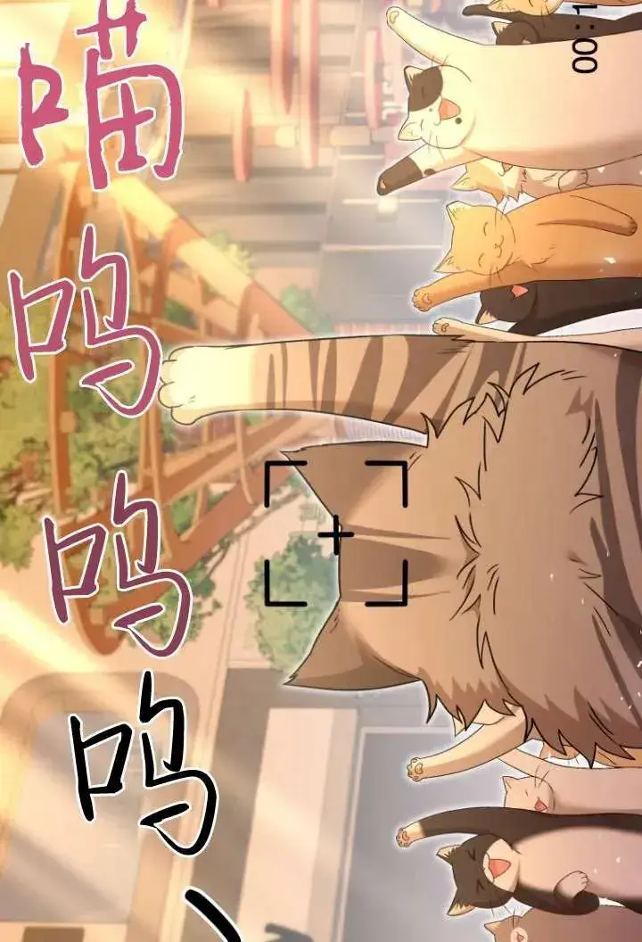 漫画《兽医先生！你好？》第38话第67张图