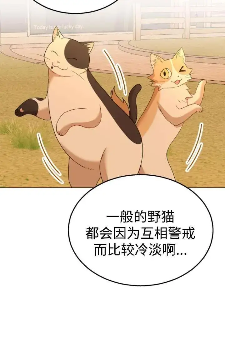 漫画《兽医先生！你好？》第39话第20张图