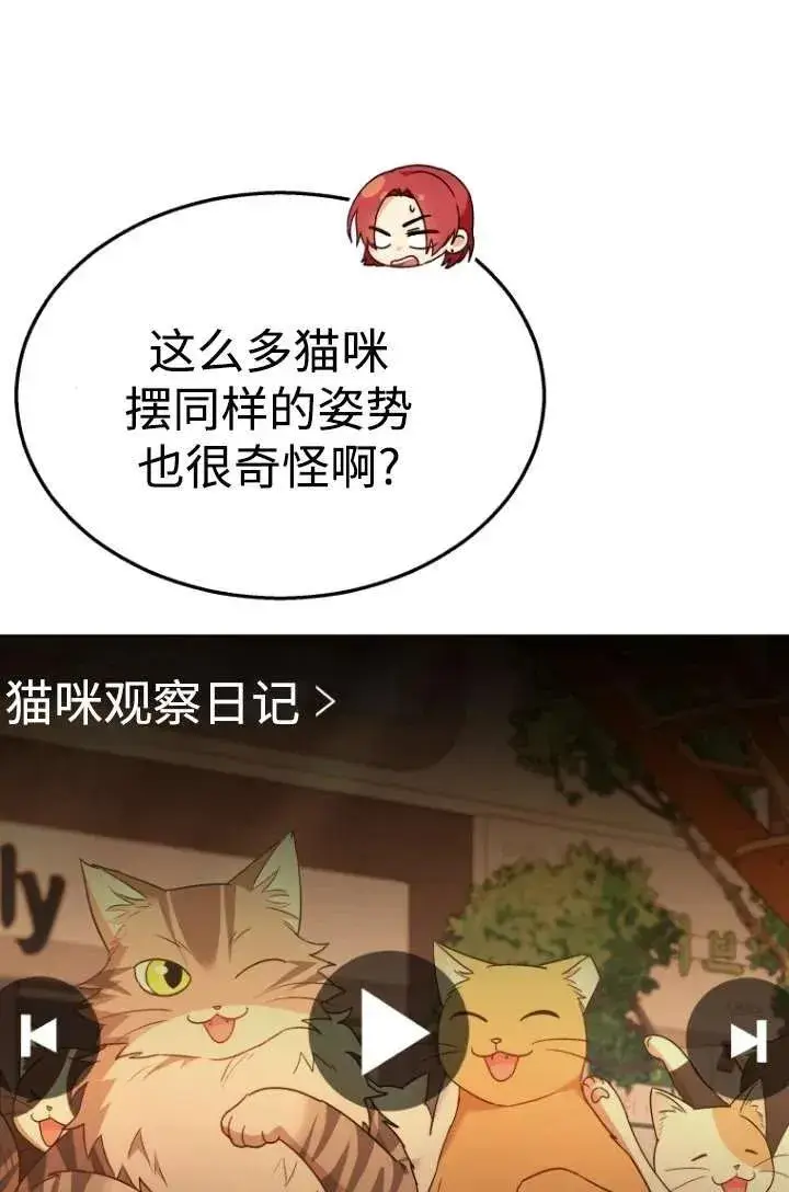漫画《兽医先生！你好？》第39话第24张图