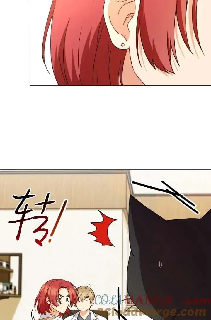 漫画《兽医先生！你好？》第39话第65张图
