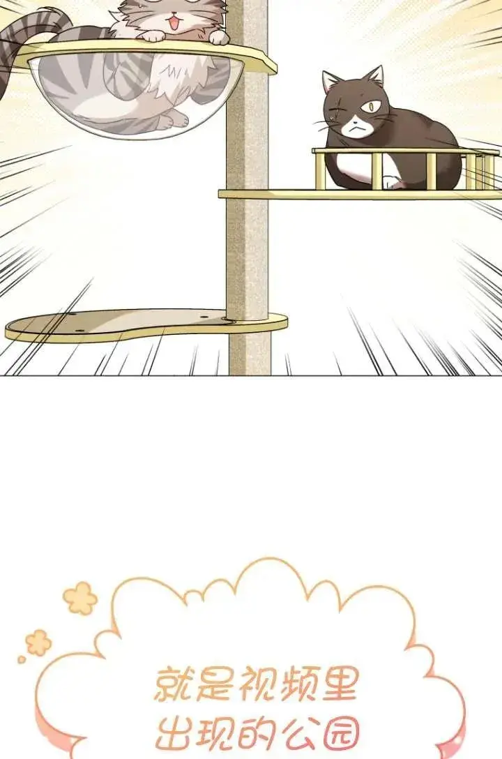 漫画《兽医先生！你好？》第39话第68张图