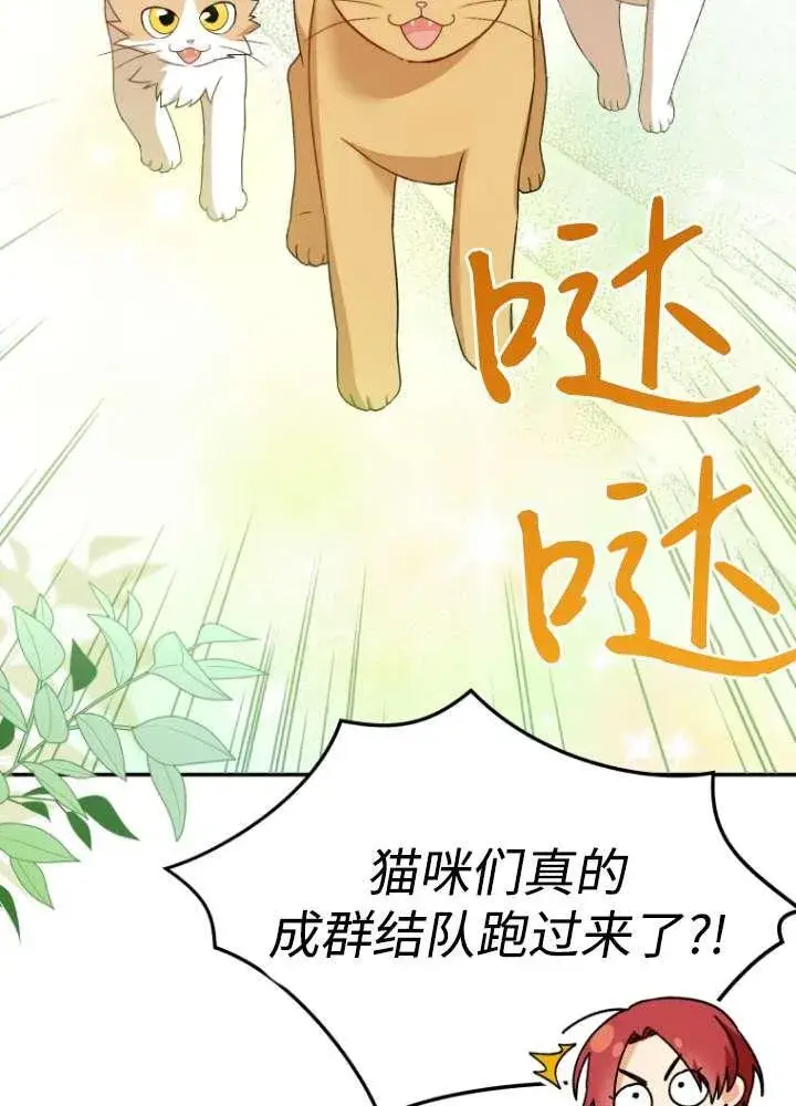 漫画《兽医先生！你好？》第40话第23张图