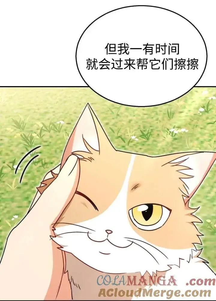 漫画《兽医先生！你好？》第40话第41张图