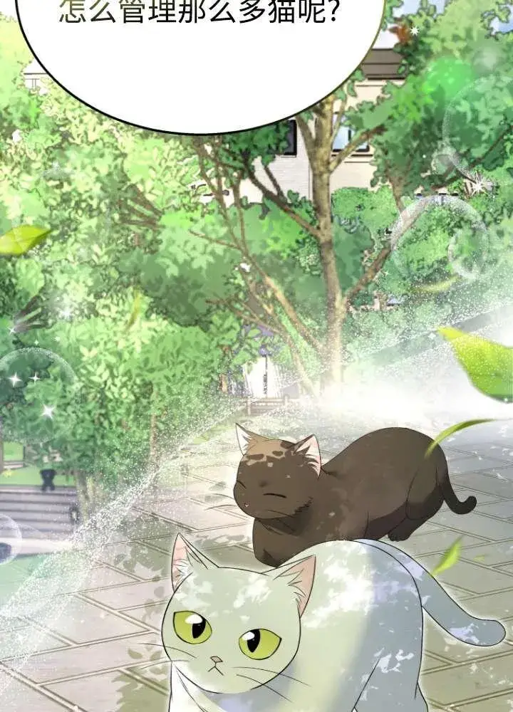 漫画《兽医先生！你好？》第40话第51张图