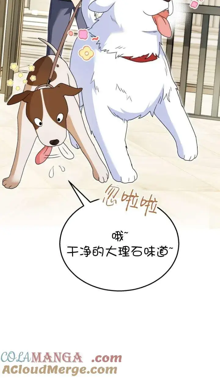 漫画《兽医先生！你好？》第41话第33张图