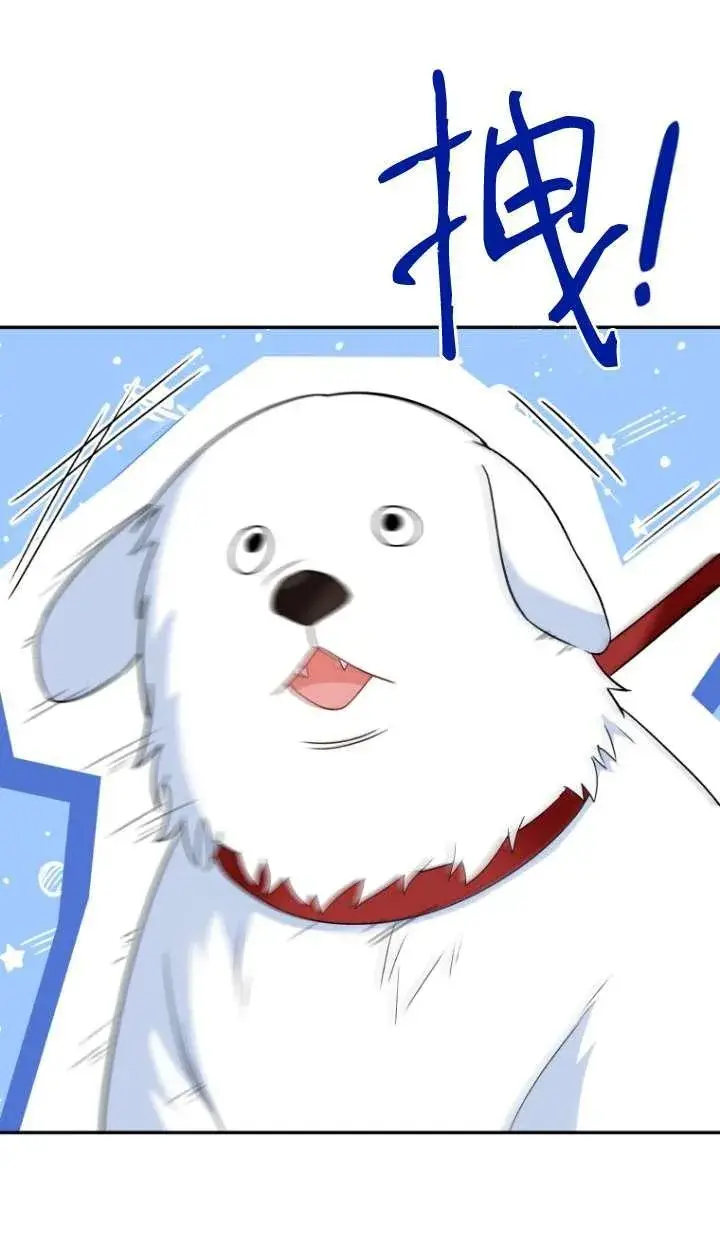 漫画《兽医先生！你好？》第41话第39张图