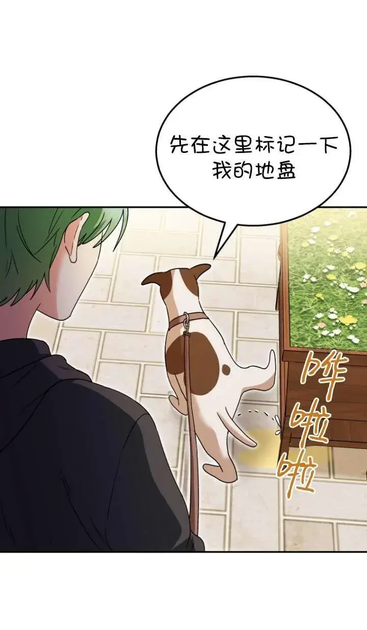 漫画《兽医先生！你好？》第41话第4张图
