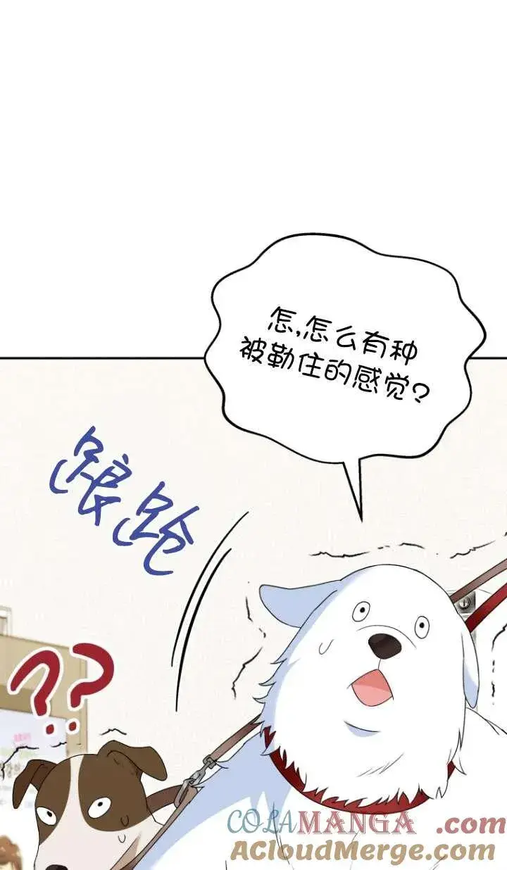 漫画《兽医先生！你好？》第41话第41张图