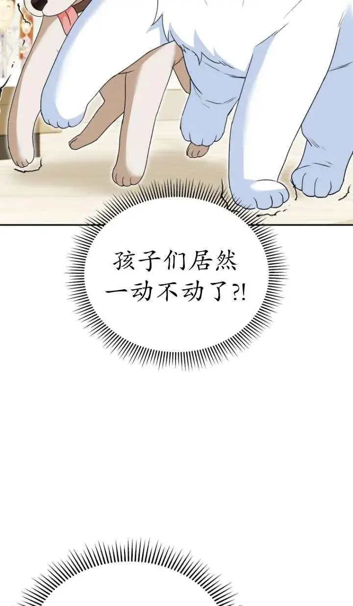 漫画《兽医先生！你好？》第41话第42张图
