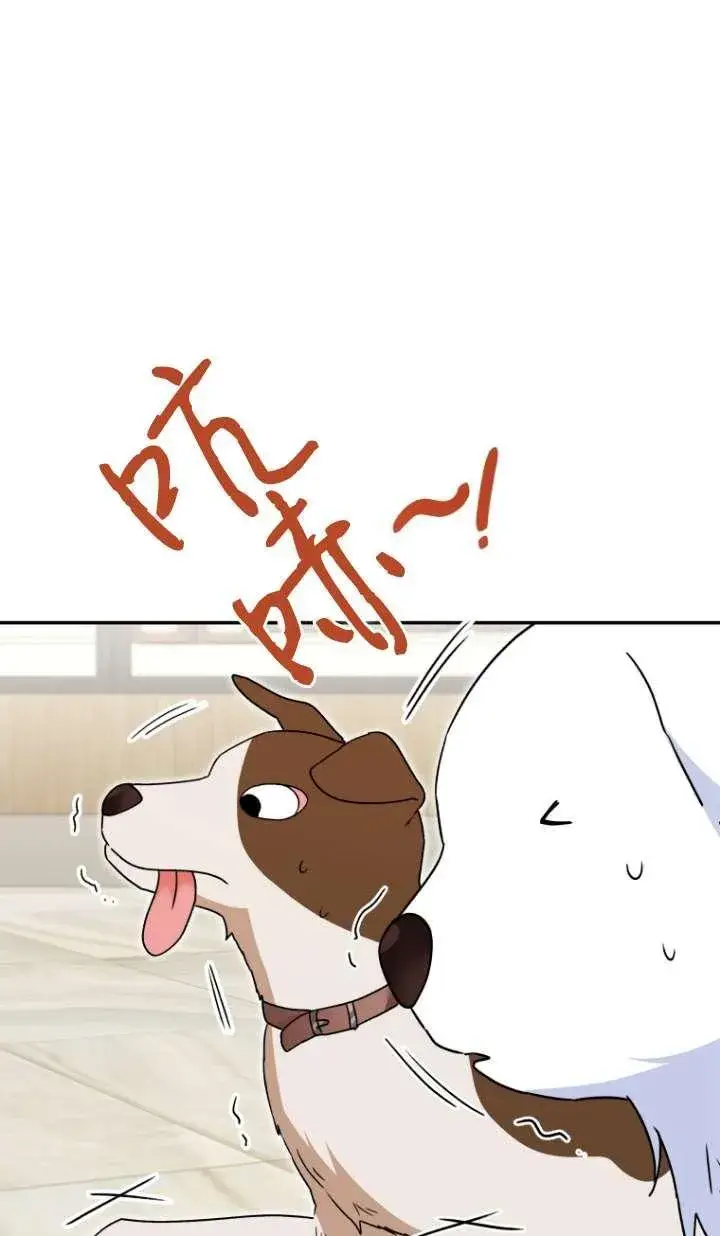 漫画《兽医先生！你好？》第41话第46张图