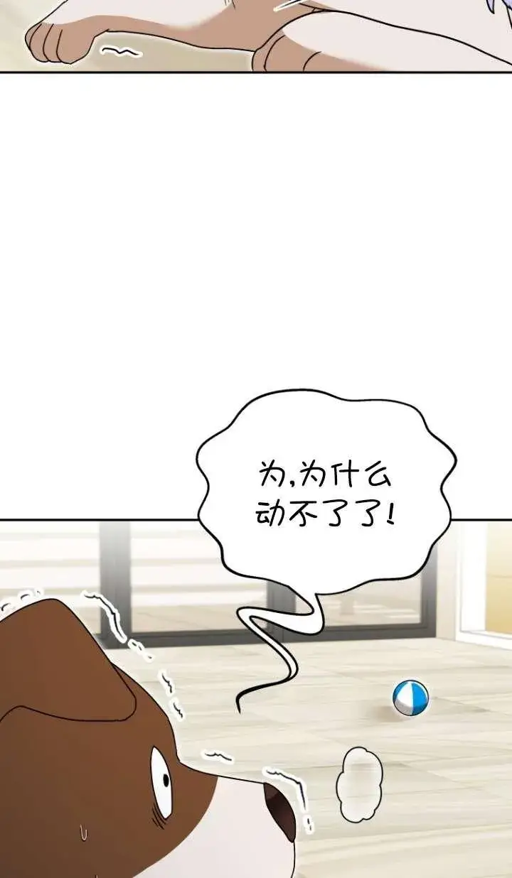 漫画《兽医先生！你好？》第41话第47张图