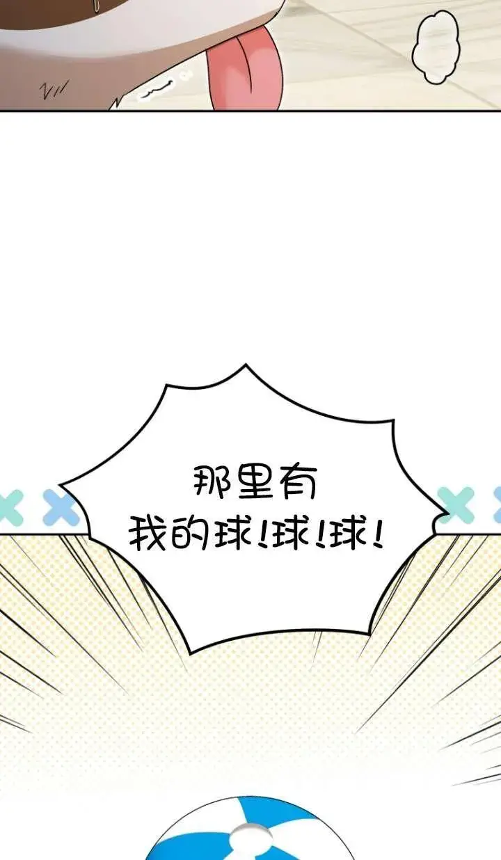 漫画《兽医先生！你好？》第41话第48张图