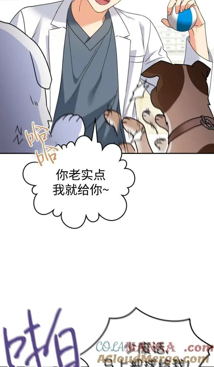 漫画《兽医先生！你好？》第41话第53张图