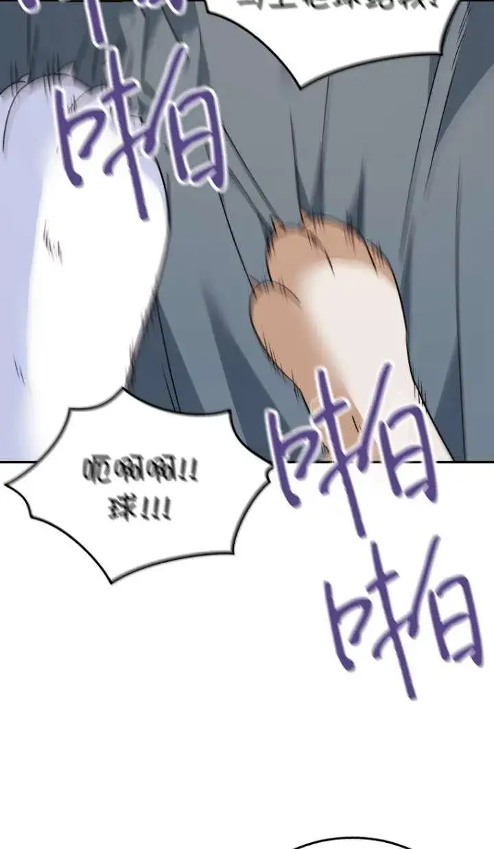 漫画《兽医先生！你好？》第41话第54张图