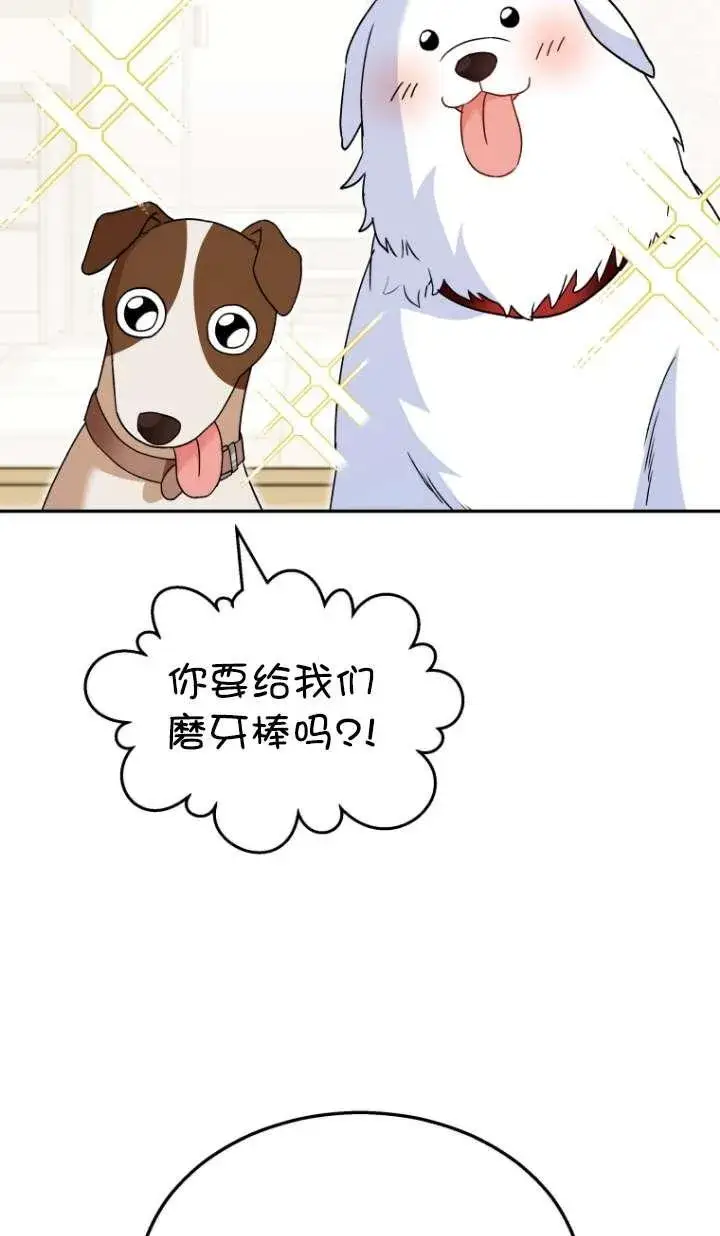 漫画《兽医先生！你好？》第41话第62张图