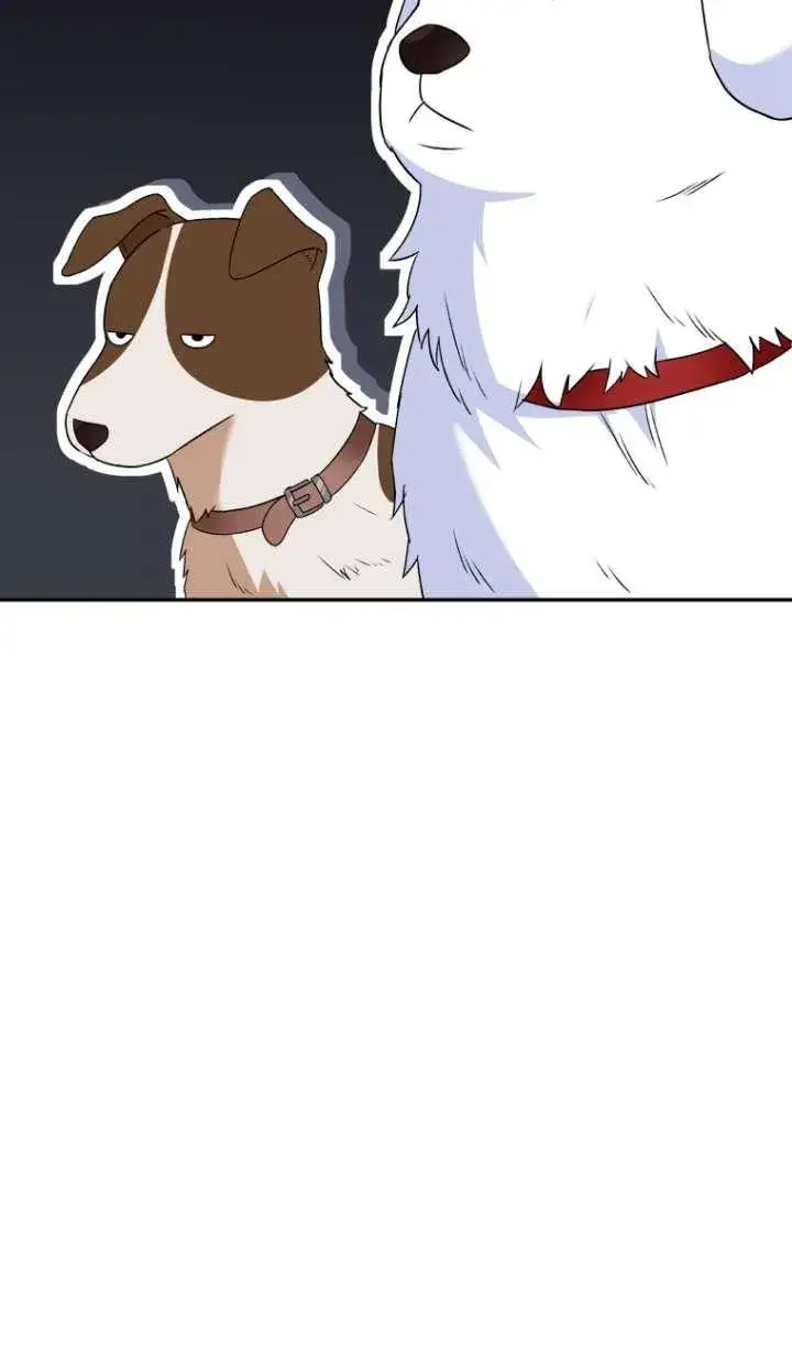 漫画《兽医先生！你好？》第41话第66张图