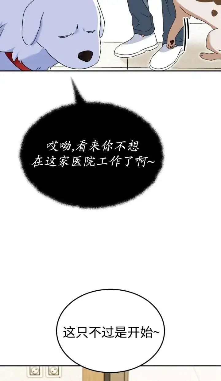 漫画《兽医先生！你好？》第41话第68张图