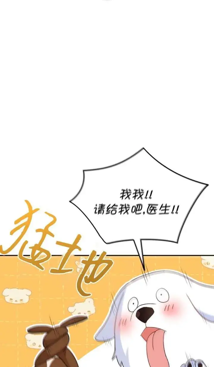 漫画《兽医先生！你好？》第41话第72张图