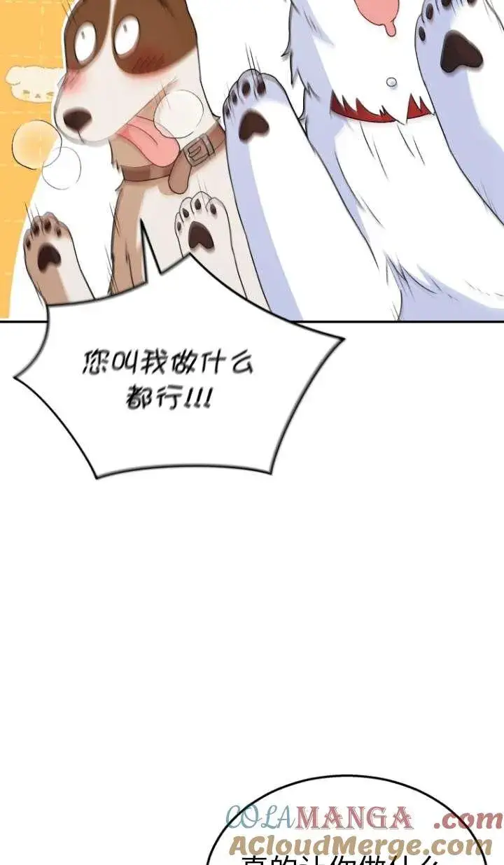 漫画《兽医先生！你好？》第41话第73张图