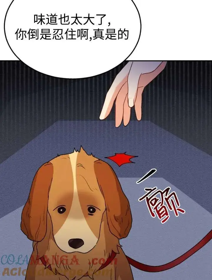 漫画《兽医先生！你好？》第42话第21张图