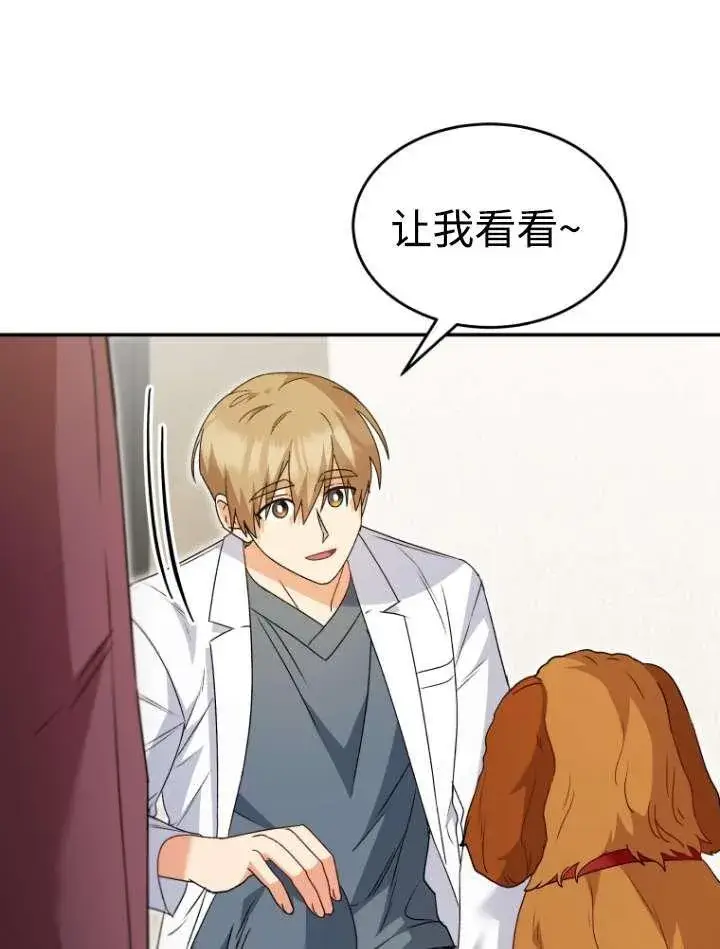 漫画《兽医先生！你好？》第42话第32张图