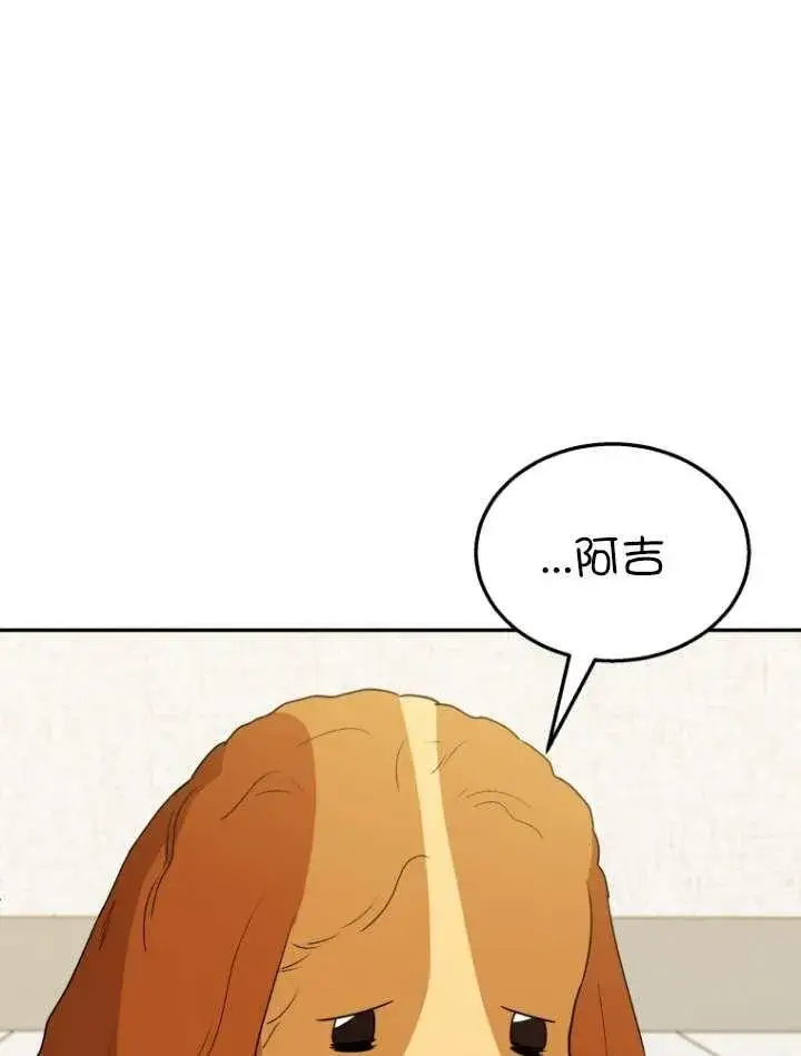 漫画《兽医先生！你好？》第42话第55张图