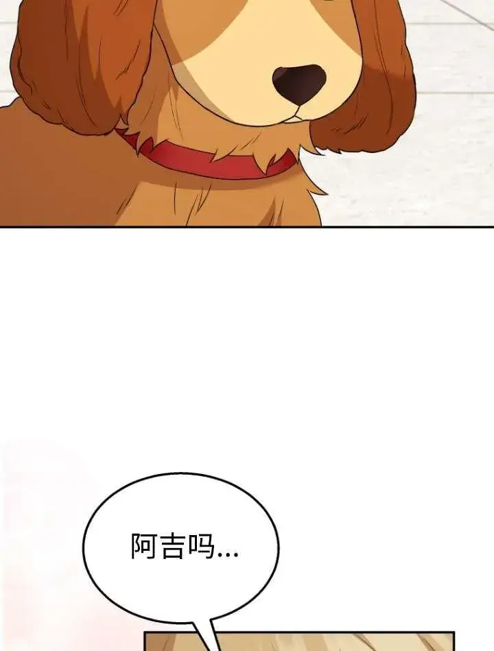漫画《兽医先生！你好？》第42话第56张图