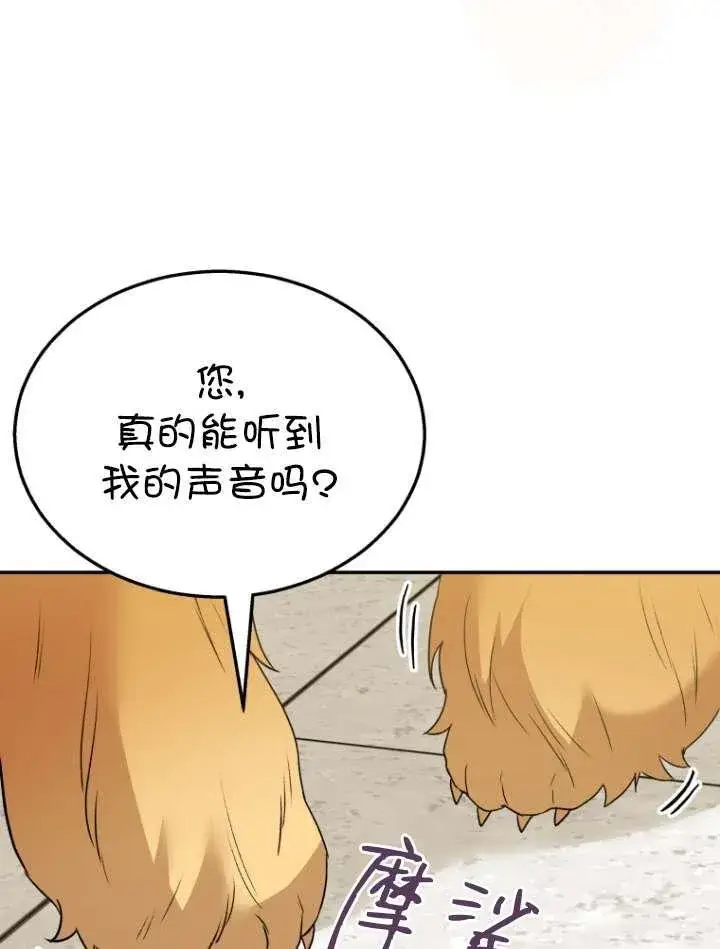 漫画《兽医先生！你好？》第42话第60张图